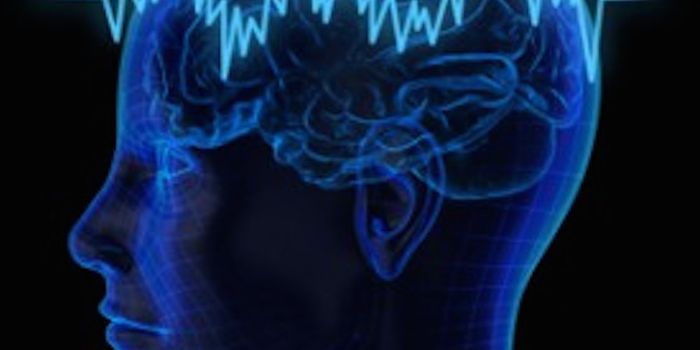 Signal Variability, Cognitive Performance in the Aging Human Brain