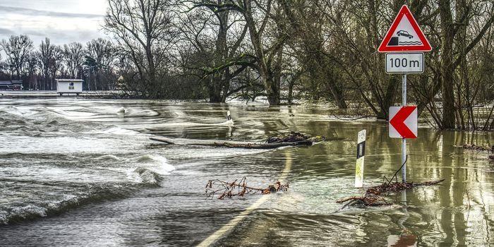 High-Tide Flooding is Cause for Concern in the US