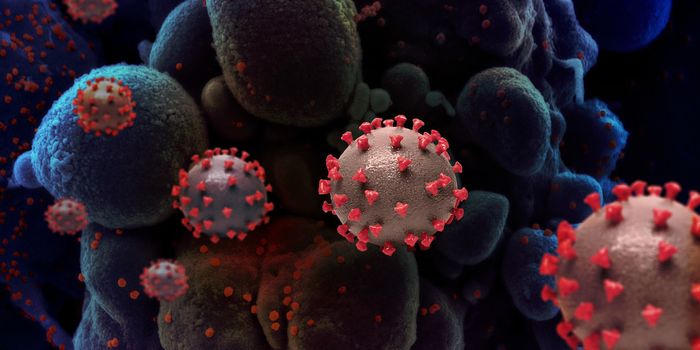 How SARS-CoV-2 Works