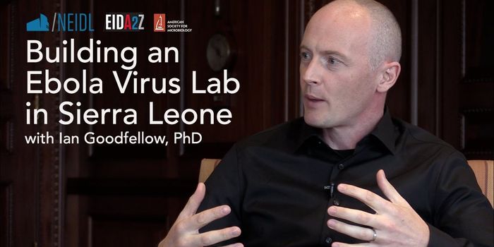 Establishing an Ebola Lab in Sierra Leone