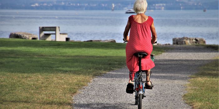Short Bursts of Activity are Linked to Increased Longevity