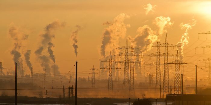 Certain Air Pollutants Linked to Worse Outcomes in Interstitial Lung Disease