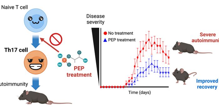 A Promising New Chemical Compound to Treat Autoimmune Diseases like Multiple sclerosis and Rheumatoid Arthritis
