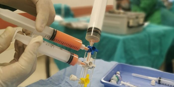 The Role of Stem Cells in Drug Discovery