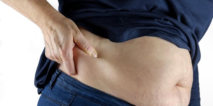 Visceral Fat Speeds Heart Aging
