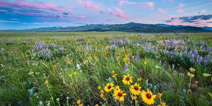 Blackfeet Nation Pushes Back Drilling on Sacred Lands