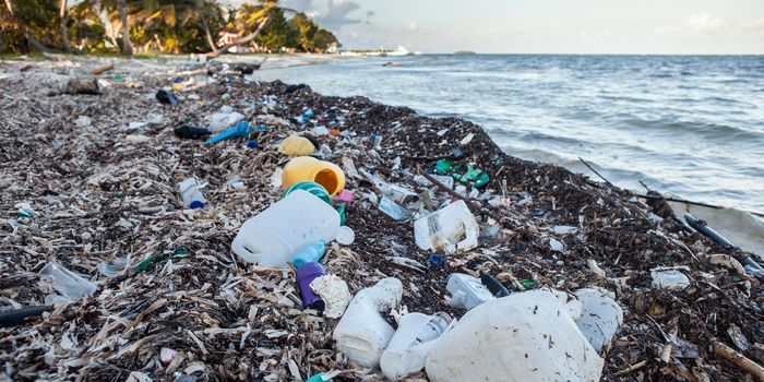 MPs Call for End to Grocery Plastic Packaging by 2023, Draw Attention to World Plastic Crisis