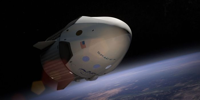 Cardiac Atrophy Findings May Aid Astronauts in Long Space Flights