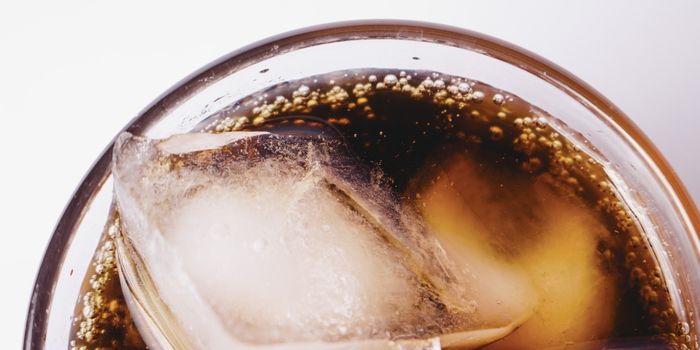 An Artificial Sweetener Dampens Immune Cell Responses