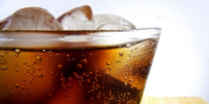 Beverages Sweetened with High-fructose Corn Syrup Linked to Reduced Renal Blood Flow