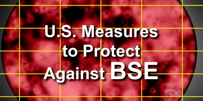 FDA Vs. Mad Cow Disease