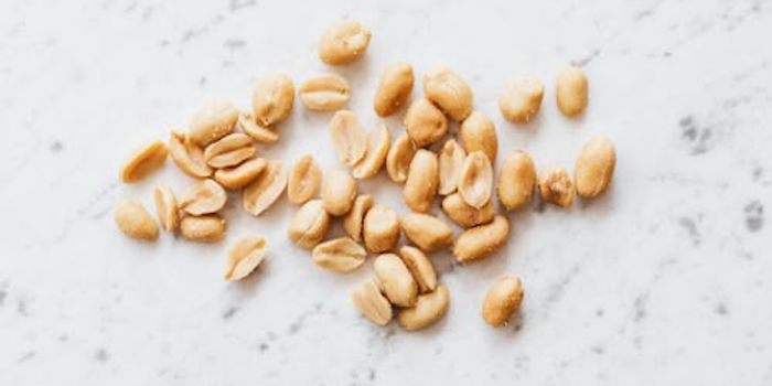 Allergic Immune Responses Raise Risk of Heart Disease, Death