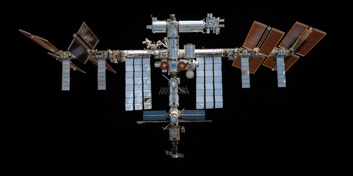 Space Station Microbes Harvest Metals from Meteorites