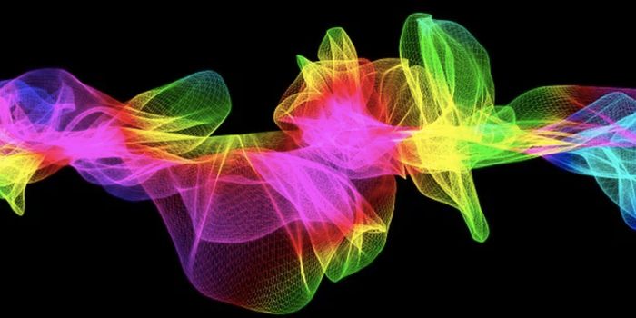 Mitochondria & Metabolism Are Unique in Egg Cells