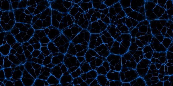 How a Risk Gene Raises Alzheimer's Risk