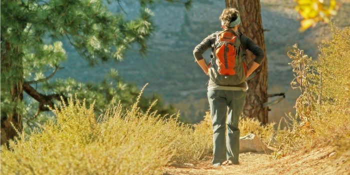 How Much for a Healthy Ecosystem? Value & Policy in Forest Ecosystems