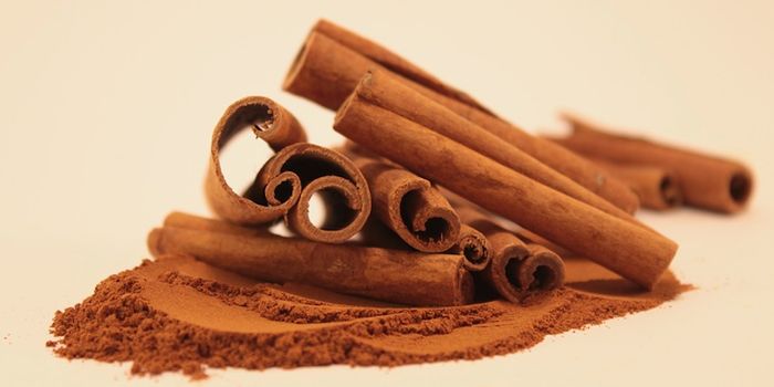 Burning Fat with a Little Help From Cinnamon