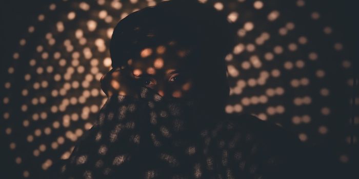 Tumors Under Seige by Cancer-Killing Salmonella