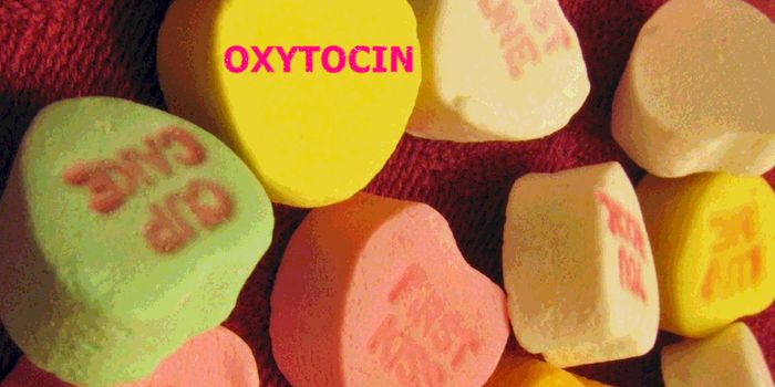 Human Sociability Affected by Epigenetic Changes to Oxytocin