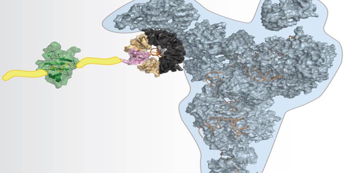 RNA Binding Protein Impacts Apoptosis Through Spliceosome