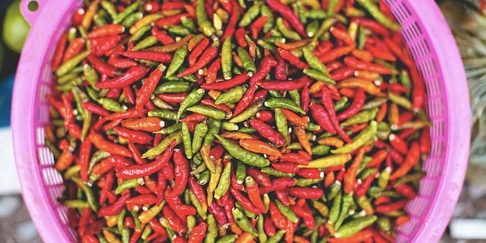 Chili Peppers May Help Us Live Longer