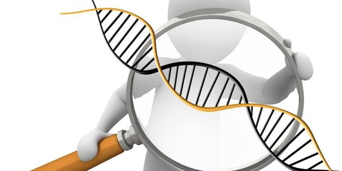 Caught in the Act of RNA Transcription