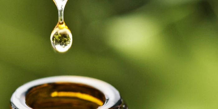 Cannabis compound shows promise for severe epilepsy