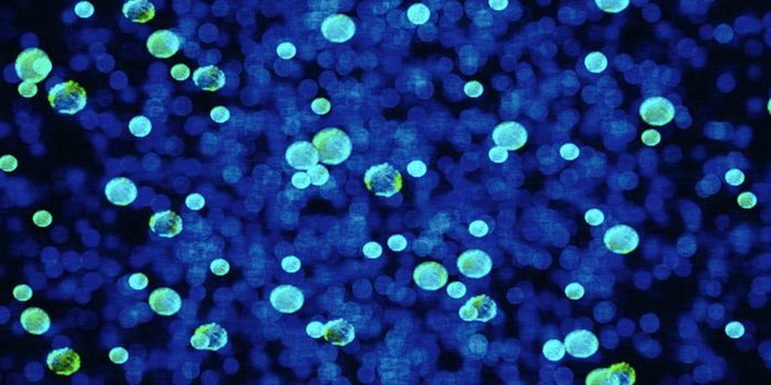 How a Unicellular Organism Promotes Gut Inflammation