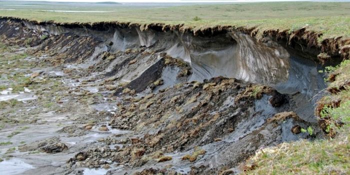 Alaska's thawing permafrost has big consequences for greenhouse gas emissions