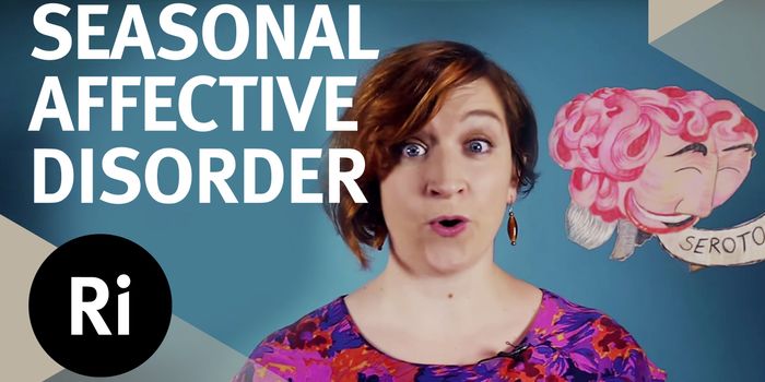 Here's Why You Seem Happier in the Summer Than in the Winter