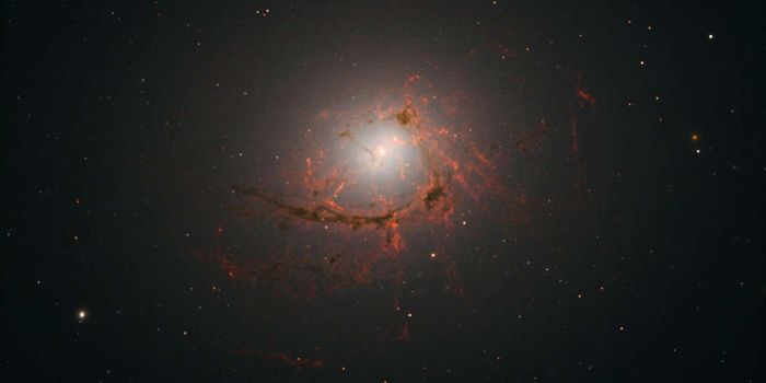 Astronomers Want to Learn More About Filamentary Galaxies Like This One