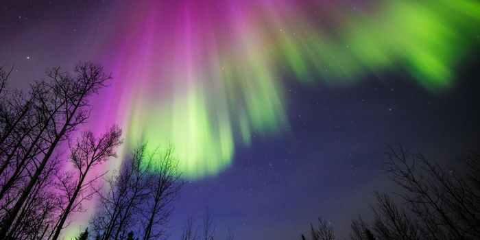 Pulsating Aurora: Exciting Parti(cl)es at the Upper Atmosphere