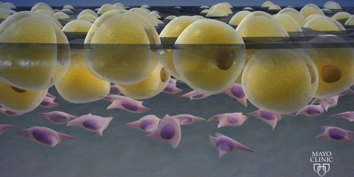 Gravity & Growth - Stem Cells get Sent to Space