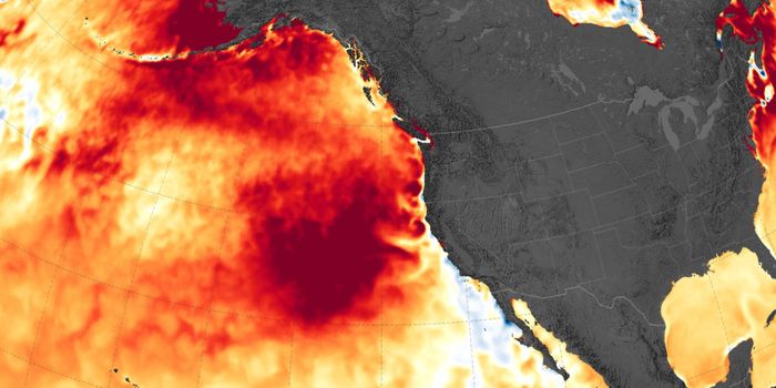 Oceans Experience Heatwaves Too