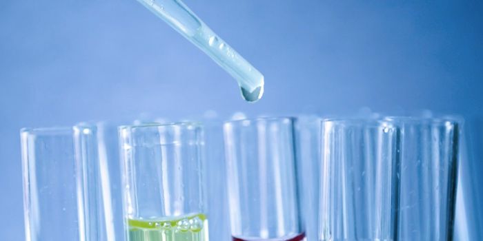 How an Herbal Compound May Fight Pancreatic Cancer