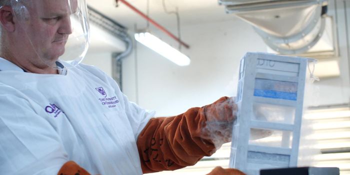 Preserving the Avocado