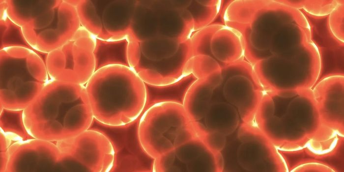 The Human Gut Microbiome is Teeming With Viruses