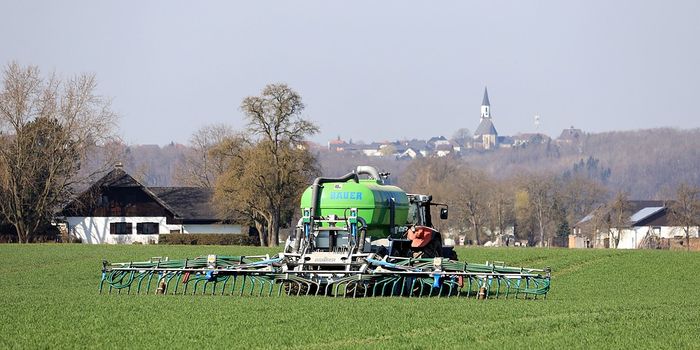 Considering the water costs of biofuel production