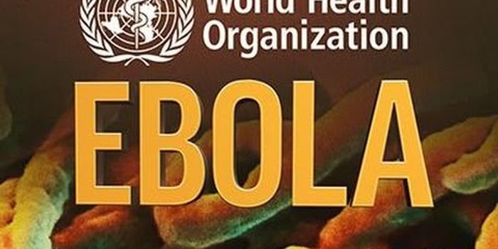 WHO Resisted Declaring Ebola Emergency