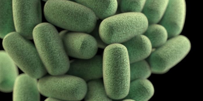 Cholesterol Drugs May Boost Healthy Gut Bacteria in Obese People
