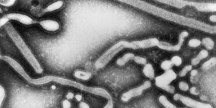 Cold Infections Are Less Likely in People That Have the Flu