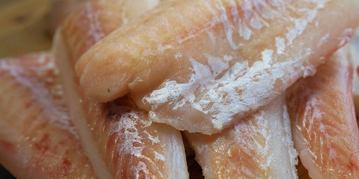 New System Predicts Future Cod Supplies for Next 10 Years