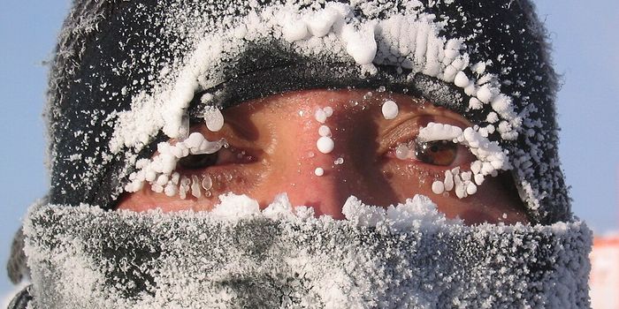 Newly Discovered Thermoreceptor Responsible for Cold Perception