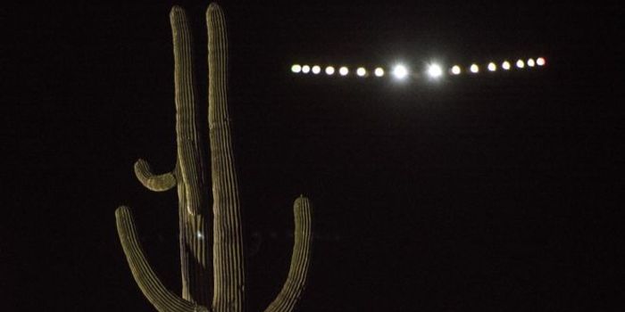 Solar Impulse, the Sunlight Powered Plane, Lands in Oklahoma