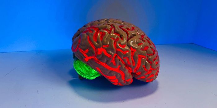 People with Autism have Fewer Fatty Sheaths Between Neurons