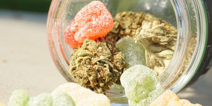 What is the standard dose of THC?