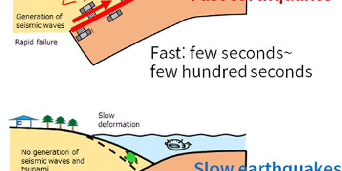 Unraveling the Mystery of Slow Earthquakes: Understanding the Differences and Significance for Seismic Forecasting