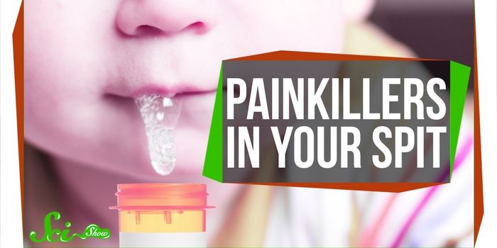 The Powerful Painkiller in Your Saliva