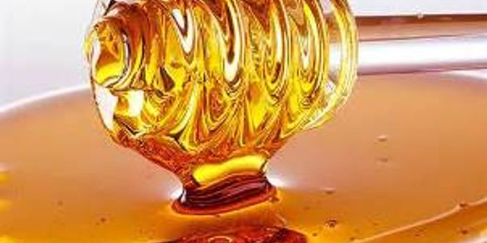 The Infection-Fighting Powers of Honey