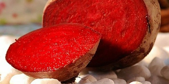 "Beeting" Alzheimer's